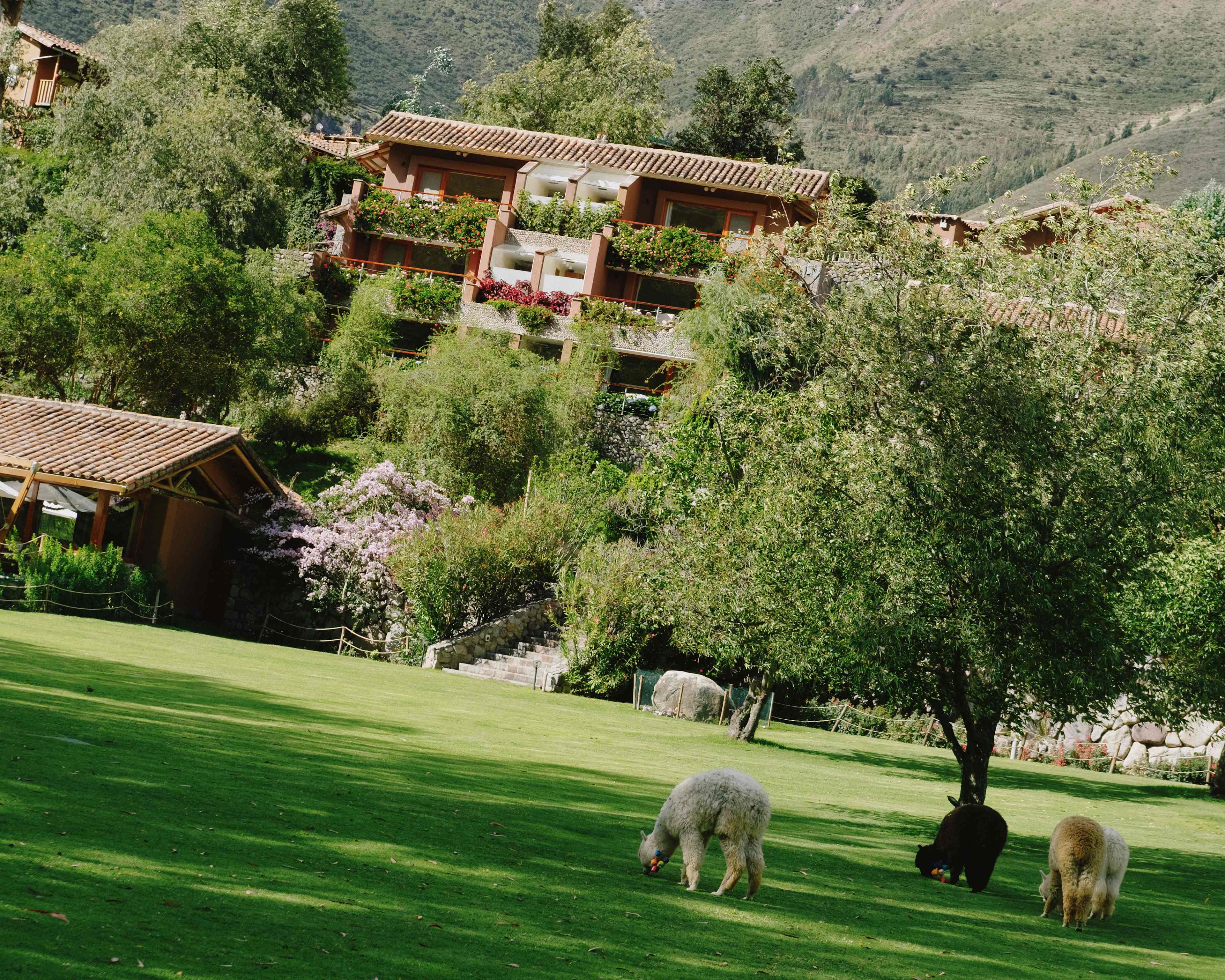 Rio Sagrado nestled in Peru's Sacred Valley